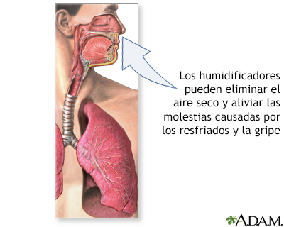 Humidificadores y salud