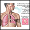 Tuberculosis pulmonar
